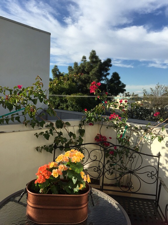 A photo of the flowers on the patio at my first condo